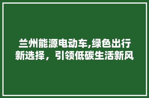 兰州能源电动车,绿色出行新选择，引领低碳生活新风尚