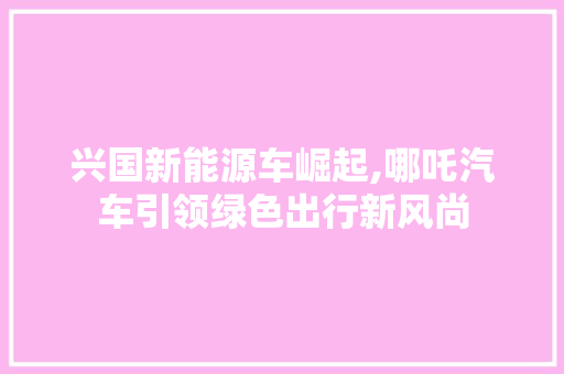 兴国新能源车崛起,哪吒汽车引领绿色出行新风尚