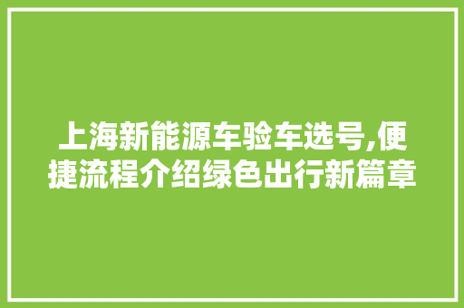 上海新能源车验车选号,便捷流程介绍绿色出行新篇章