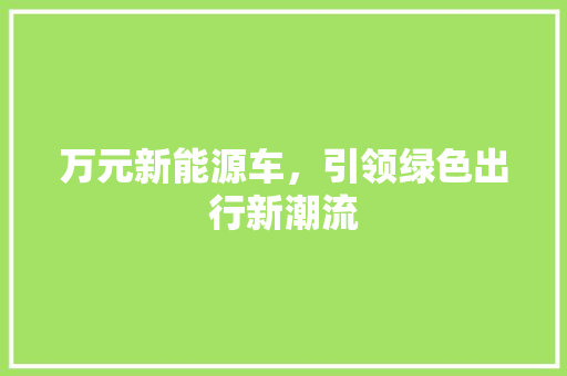 万元新能源车，引领绿色出行新潮流