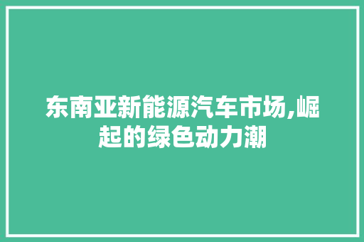 东南亚新能源汽车市场,崛起的绿色动力潮