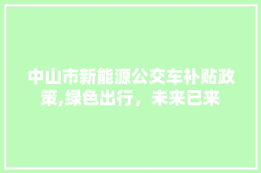 中山市新能源公交车补贴政策,绿色出行，未来已来