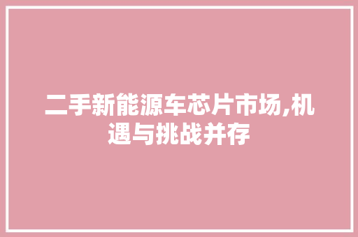 二手新能源车芯片市场,机遇与挑战并存