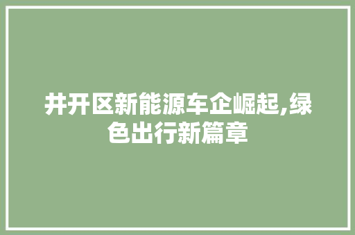 井开区新能源车企崛起,绿色出行新篇章