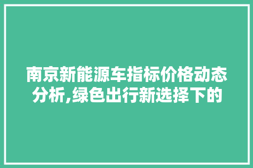 南京新能源车指标价格动态分析,绿色出行新选择下的经济考量