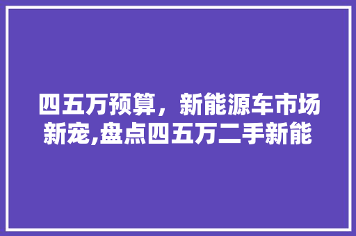 四五万预算，新能源车市场新宠,盘点四五万二手新能源车