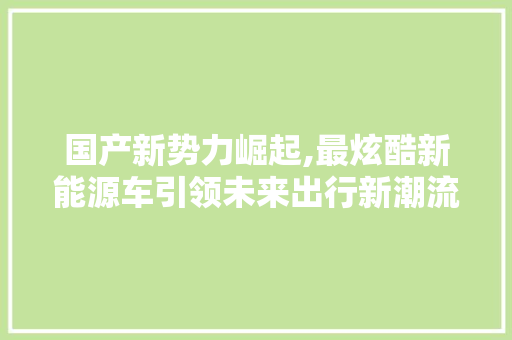 国产新势力崛起,最炫酷新能源车引领未来出行新潮流  第1张