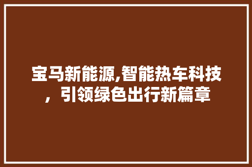 宝马新能源,智能热车科技，引领绿色出行新篇章