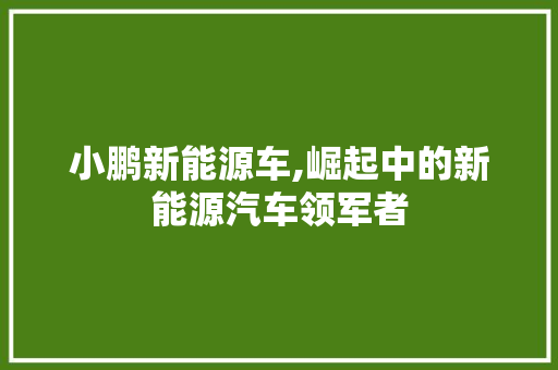 小鹏新能源车,崛起中的新能源汽车领军者