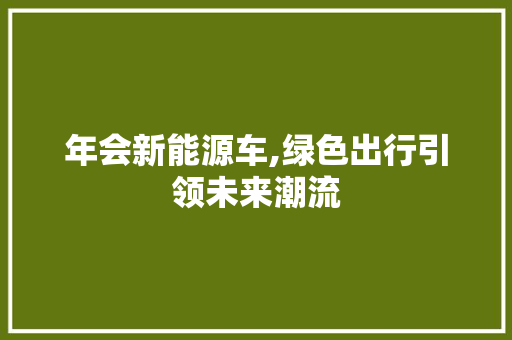 年会新能源车,绿色出行引领未来潮流