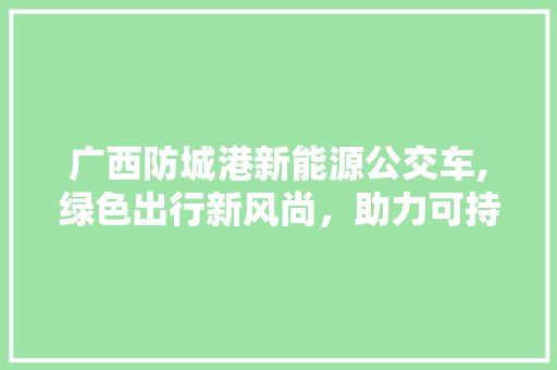 广西防城港新能源公交车,绿色出行新风尚，助力可持续发展