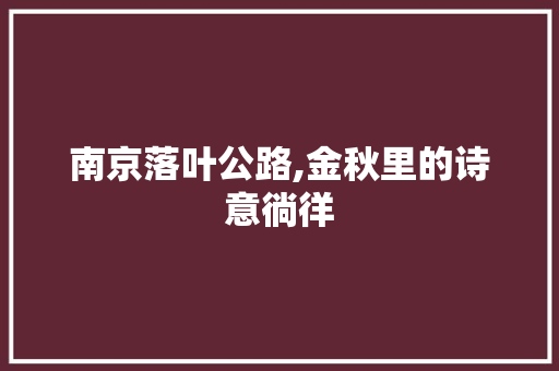 南京落叶公路,金秋里的诗意徜徉  第1张