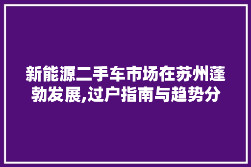 新能源二手车市场在苏州蓬勃发展,过户指南与趋势分析