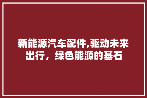 新能源汽车配件,驱动未来出行，绿色能源的基石