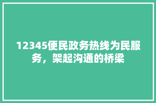 12345便民政务热线为民服务，架起沟通的桥梁  第1张