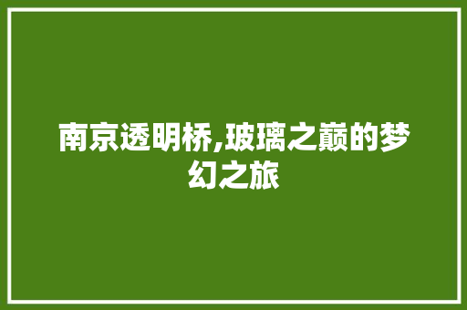 南京透明桥,玻璃之巅的梦幻之旅