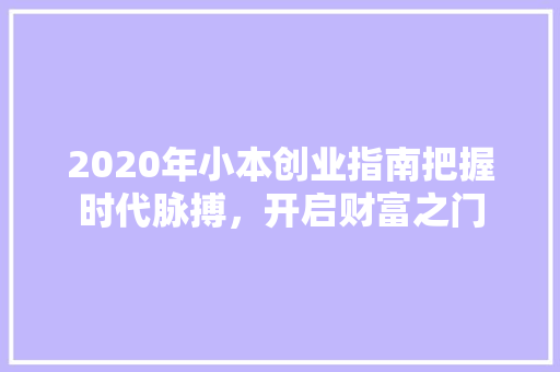 2020年小本创业指南把握时代脉搏，开启财富之门