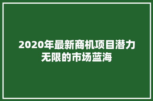 2020年最新商机项目潜力无限的市场蓝海