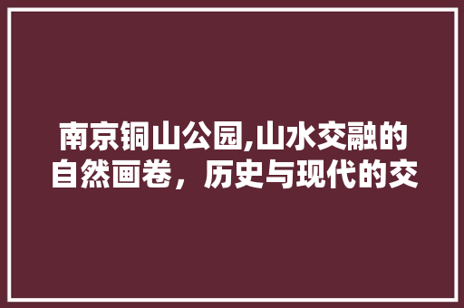 南京铜山公园,山水交融的自然画卷，历史与现代的交融之地