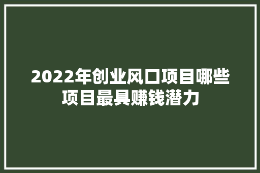 2022年创业风口项目哪些项目最具赚钱潜力