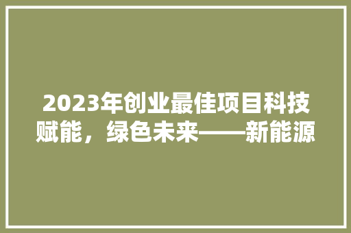 2023年创业最佳项目科技赋能，绿色未来——新能源领域