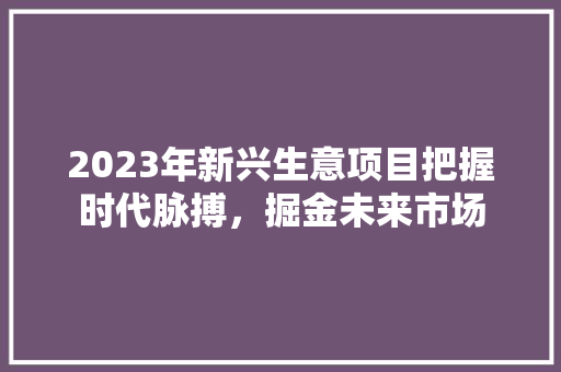 2023年新兴生意项目把握时代脉搏，掘金未来市场