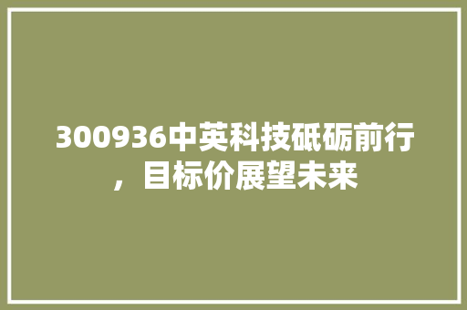 300936中英科技砥砺前行，目标价展望未来