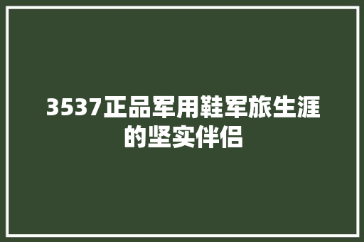 3537正品军用鞋军旅生涯的坚实伴侣  第1张