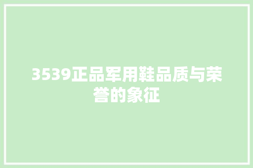 3539正品军用鞋品质与荣誉的象征  第1张