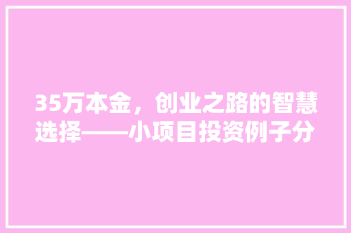 35万本金，创业之路的智慧选择——小项目投资例子分析  第1张