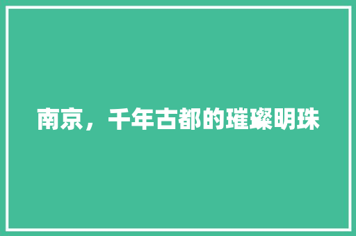 南京，千年古都的璀璨明珠