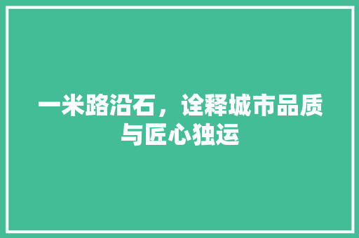 一米路沿石，诠释城市品质与匠心独运