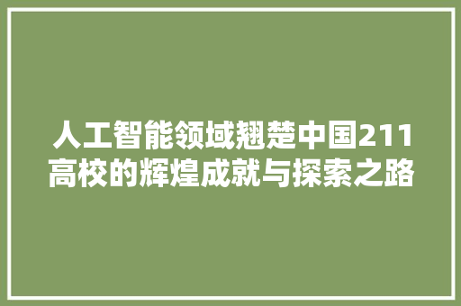 人工智能领域翘楚中国211高校的辉煌成就与探索之路