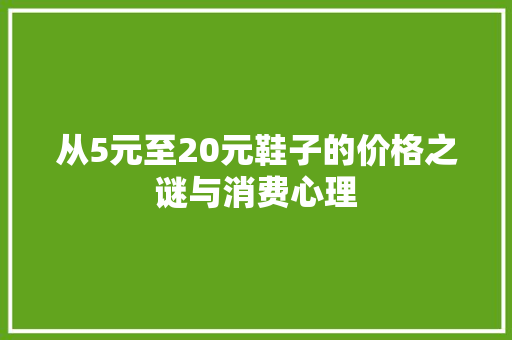 从5元至20元鞋子的价格之谜与消费心理