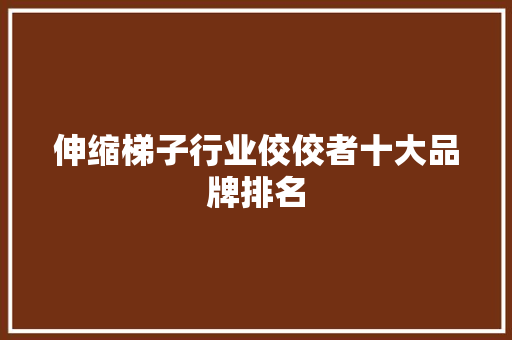 伸缩梯子行业佼佼者十大品牌排名