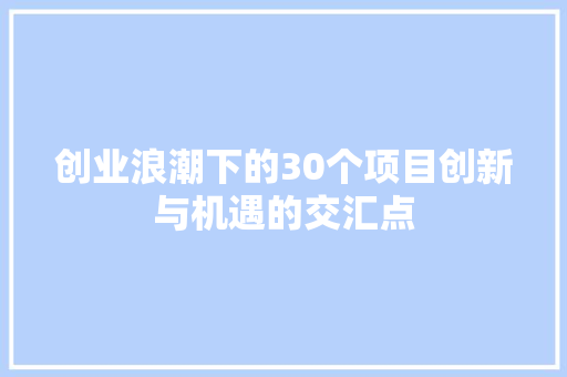 创业浪潮下的30个项目创新与机遇的交汇点