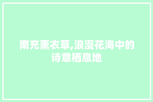 南充薰衣草,浪漫花海中的诗意栖息地