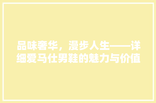 品味奢华，漫步人生——详细爱马仕男鞋的魅力与价值