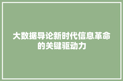 大数据导论新时代信息革命的关键驱动力