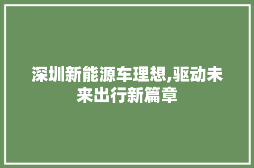 深圳新能源车理想,驱动未来出行新篇章