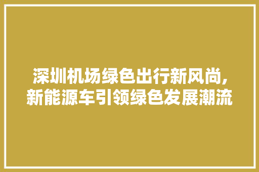 深圳机场绿色出行新风尚,新能源车引领绿色发展潮流