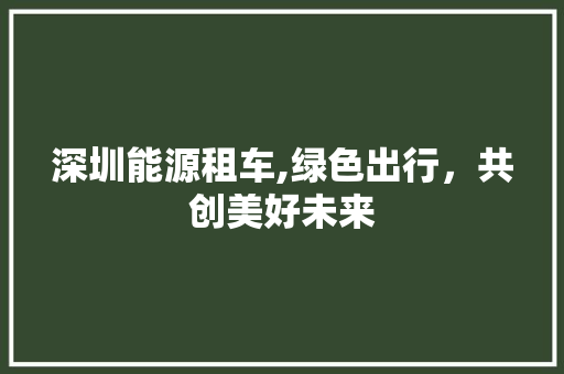 深圳能源租车,绿色出行，共创美好未来