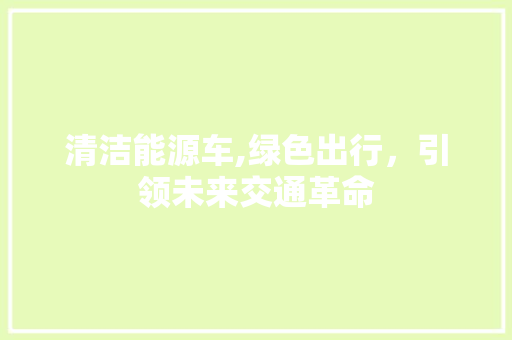 清洁能源车,绿色出行，引领未来交通革命