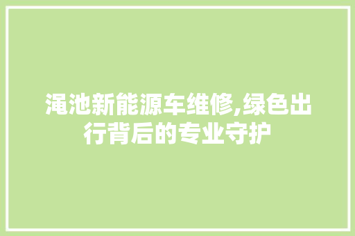 渑池新能源车维修,绿色出行背后的专业守护