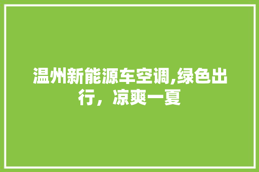 温州新能源车空调,绿色出行，凉爽一夏