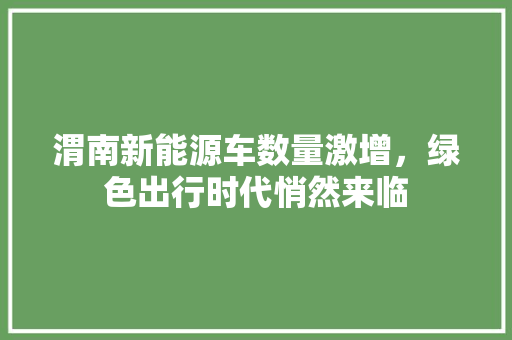 渭南新能源车数量激增，绿色出行时代悄然来临