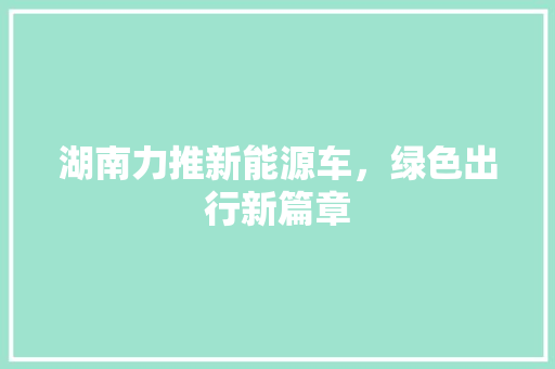 湖南力推新能源车，绿色出行新篇章