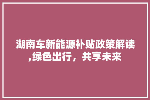 湖南车新能源补贴政策解读,绿色出行，共享未来