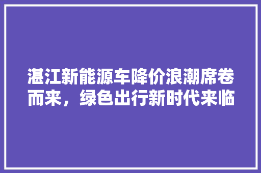 湛江新能源车降价浪潮席卷而来，绿色出行新时代来临！