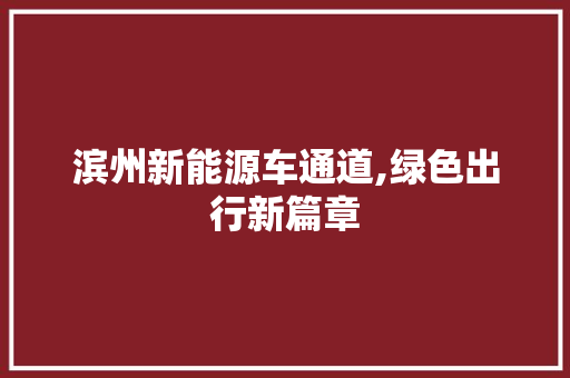 滨州新能源车通道,绿色出行新篇章